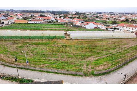 Helårsgrund i Terroso, Porto, Terroso - € 475.000 | Ref: RL-475-323 - foto 21