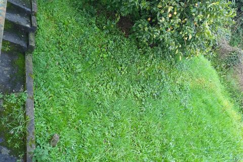 Leilighet i Ameglia, La Spezia, Ameglia - € 110 000 | Ref: 2489 - foto 7