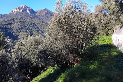 Helårsgrund i Castellar, Alpes-Maritimes, Castellar - € 225.000 | Ref: 85526497 - foto 3