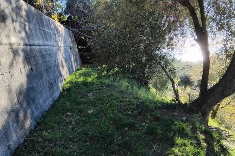 Helårsgrund i Castellar, Alpes-Maritimes, Castellar - € 225.000 | Ref: 85526497 - foto 2
