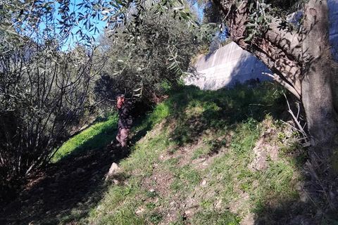Helårsgrund i Castellar, Alpes-Maritimes, Castellar - € 225.000 | Ref: 85526497 - foto 4