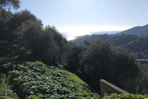 Helårsgrund i Castellar, Alpes-Maritimes, Castellar - € 225.000 | Ref: 85526497 - foto 5