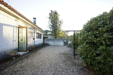 Villa i Serra, Santarem, Serra - € 2.500.000 | Ref: C0277-00399 - foto 10