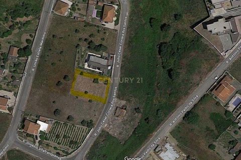 Terra a Arronches, Portalegre, Arronches - € 75.000 | Ref: C0277-00480 - foto 5