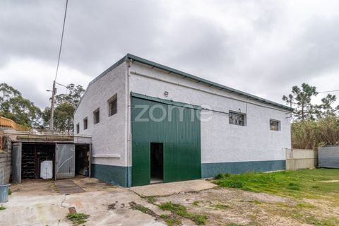 Erhvervsejendom i Tavarede, Coimbra, Tavarede - € 399.000 | Ref: ZMPT575175 - foto 1