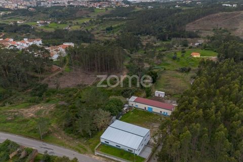 Erhvervsejendom i Tavarede, Coimbra, Tavarede - € 399.000 | Ref: ZMPT575175 - foto 5