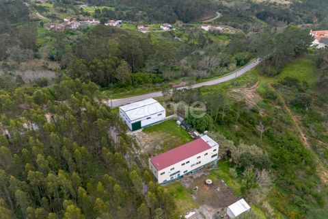 Erhvervsejendom i Tavarede, Coimbra, Tavarede - € 399.000 | Ref: ZMPT575175 - foto 6