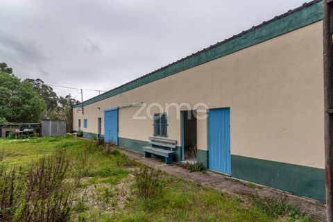 Erhvervsejendom i Tavarede, Coimbra, Tavarede - € 399.000 | Ref: ZMPT575175 - foto 11
