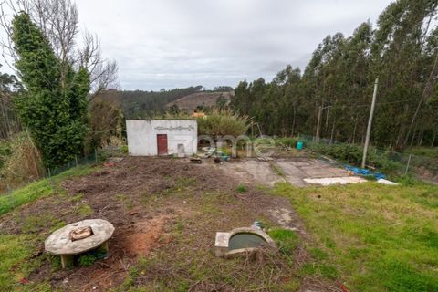 Erhvervsejendom i Tavarede, Coimbra, Tavarede - € 399.000 | Ref: ZMPT575175 - foto 12