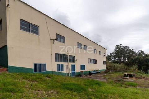Erhvervsejendom i Tavarede, Coimbra, Tavarede - € 399.000 | Ref: ZMPT575175 - foto 13