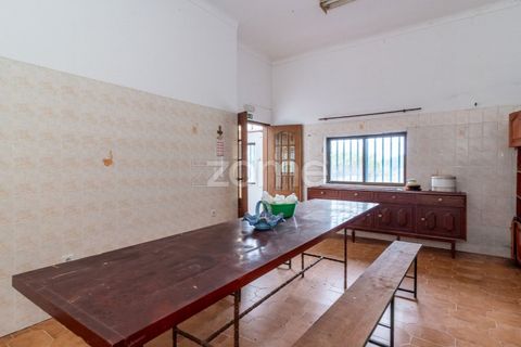Erhvervsejendom i Tavarede, Coimbra, Tavarede - € 399.000 | Ref: ZMPT575175 - foto 25