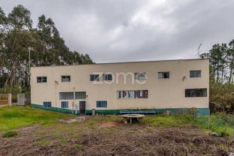 Erhvervsejendom i Tavarede, Coimbra, Tavarede - € 399.000 | Ref: ZMPT575175 - foto 26