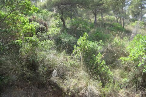 Helårsgrund i Capdepera, Mallorca, Capdepera - € 387.200 | Ref: 3403U - foto 4