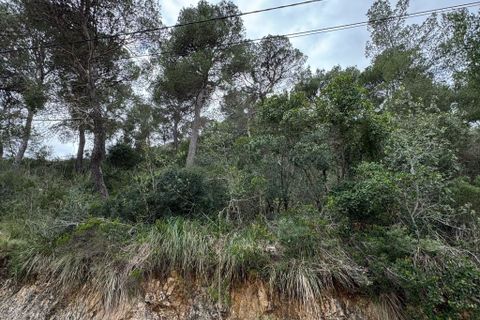 Helårsgrund i Capdepera, Mallorca, Capdepera - € 387.200 | Ref: 3403U - foto 7