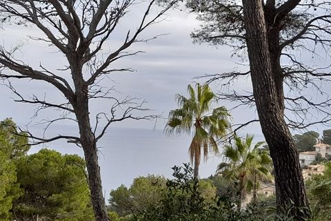 Helårsgrund i Capdepera, Mallorca, Capdepera - € 387.200 | Ref: 3403U - foto 8