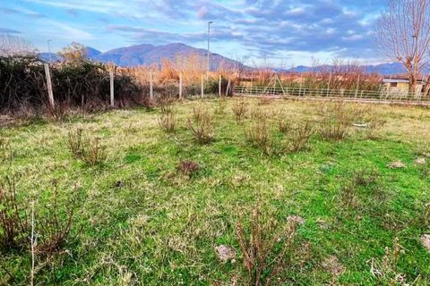 Helårsgrund i Scalea, Cosenza, Scalea - € 80.000 | Ref: 1158 - foto 7