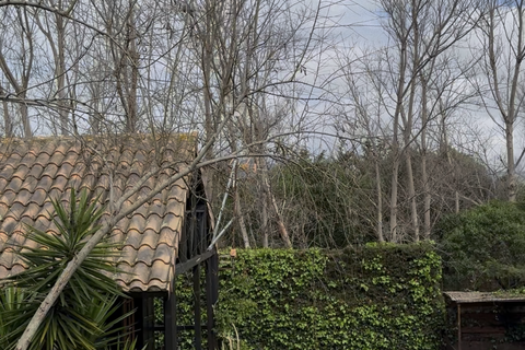 Finca i Tarifa, Cadiz, Tarifa - € 2.550.000 | Ref: SPCRM2802 - foto 49