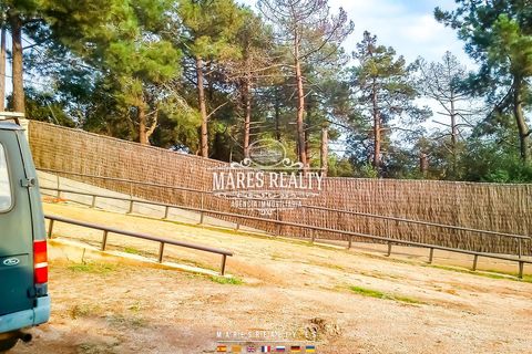 Helårsgrund i Lloret De Mar, Gerona - foto 3