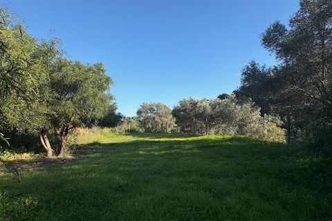 Landejendom i Mijas, Malaga, Mijas - € 795.000 | Ref: EXP09408/8930 - foto 28