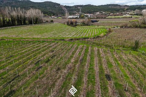Farm i Guimaraes, Braga, Guimaraes - € 650.000 | Ref: SC-9142 - foto 22