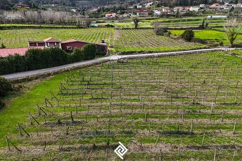 Farm i Guimaraes, Braga, Guimaraes - € 650.000 | Ref: SC-9142 - foto 5