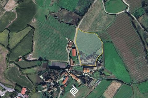 Farm i Guimaraes, Braga, Guimaraes - € 650.000 | Ref: SC-9142 - foto 24