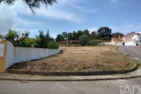 Terra a Chamusca, Santarem, Chamusca - € 35.000 | Ref: 109450 - foto 2