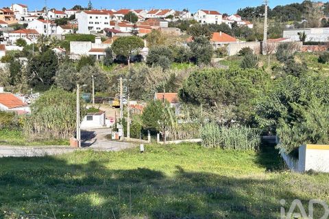 Terra a Chamusca, Santarem, Chamusca - € 35.000 | Ref: 109450 - foto 6