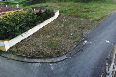 Terra a Chamusca, Santarem, Chamusca - € 35.000 | Ref: 109450 - foto 7