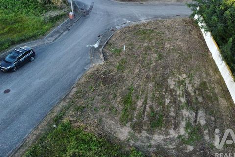 Terra a Chamusca, Santarem, Chamusca - € 35.000 | Ref: 109450 - foto 10