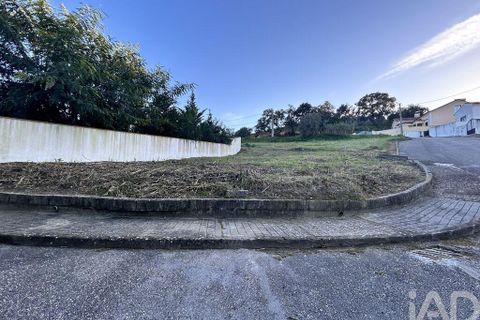 Terra a Chamusca, Santarem, Chamusca - € 35.000 | Ref: 109450 - foto 11
