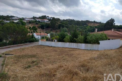 Terra a Chamusca, Santarem, Chamusca - € 35.000 | Ref: 109450 - foto 14