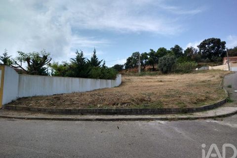 Terra a Chamusca, Santarem, Chamusca - € 35.000 | Ref: 109450 - foto 15