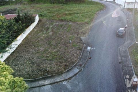 Terra a Chamusca, Santarem, Chamusca - € 35.000 | Ref: 109450 - foto 17