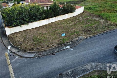 Terra a Chamusca, Santarem, Chamusca - € 35.000 | Ref: 109450 - foto 18