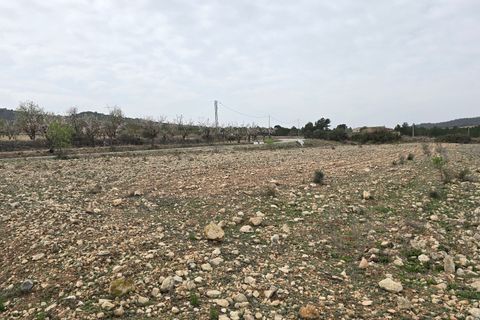 Grond in Salinas, Alicante, Salinas - € 45.000 | Ref: Jose plot3 - foto 7