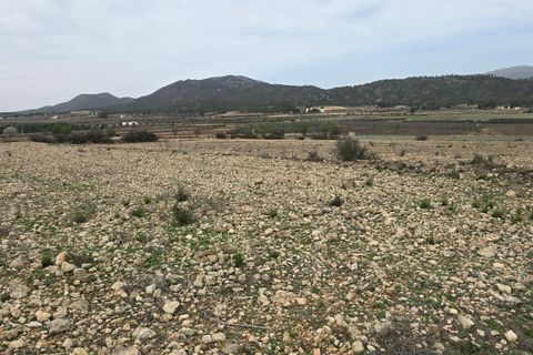Grond in Salinas, Alicante, Salinas - € 45.000 | Ref: Jose plot3 - foto 6