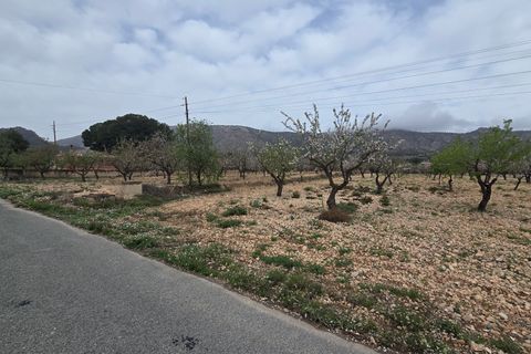 Grond in Salinas, Alicante, Salinas - € 86.000 | Ref: Jose plot 1 - foto 3