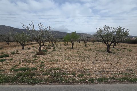 Grond in Salinas, Alicante, Salinas - € 86.000 | Ref: Jose plot 1 - foto 2