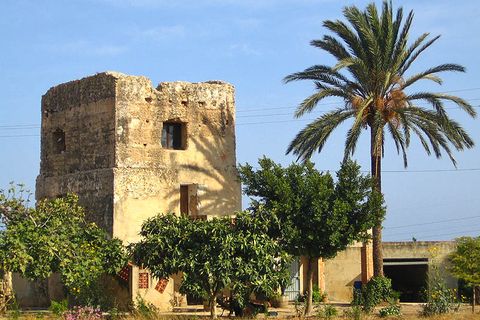 Terra a El Verger, Alicante, El Verger - € 270.000 | Ref: VG-0298 - foto 7