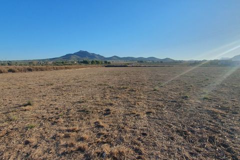 Grond in Salinas, Alicante, Salinas - € 36.000 | Ref: Plaplot1 - foto 2