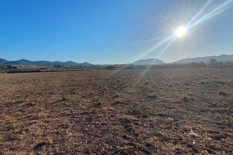 Grond in Salinas, Alicante, Salinas - € 36.000 | Ref: Plaplot1 - foto 1