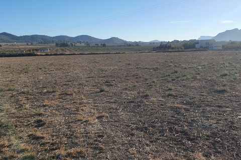 Grond in Salinas, Alicante, Salinas - € 36.000 | Ref: Plaplot1 - foto 12