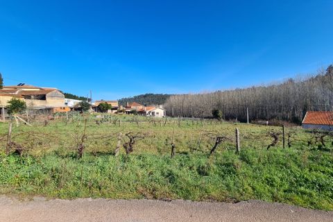 Helårsgrund i Agueda, Aveiro, Agueda - € 24.900 | Ref: TER_637 - foto 1