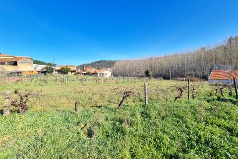 Helårsgrund i Agueda, Aveiro, Agueda - € 24.900 | Ref: TER_637 - foto 2