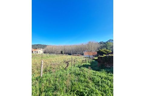 Helårsgrund i Agueda, Aveiro, Agueda - € 24.900 | Ref: TER_637 - foto 3