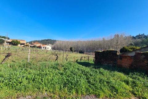 Helårsgrund i Agueda, Aveiro, Agueda - € 24.900 | Ref: TER_637 - foto 4