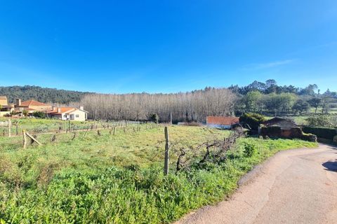 Helårsgrund i Agueda, Aveiro, Agueda - € 24.900 | Ref: TER_637 - foto 6