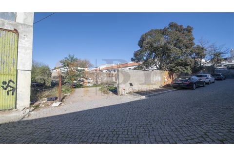 Helårsgrund i Beja, Beja, Beja - € 950.000 | Ref: BYS-1003 - foto 3