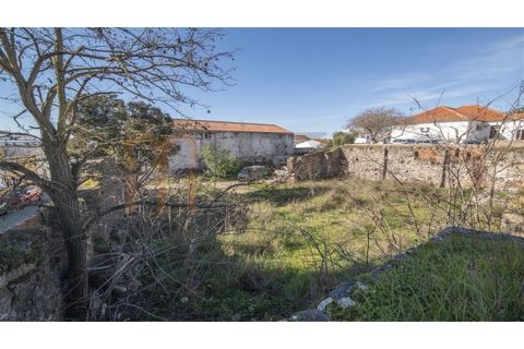 Helårsgrund i Beja, Beja, Beja - € 950.000 | Ref: BYS-1003 - foto 4